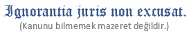 Mesaj